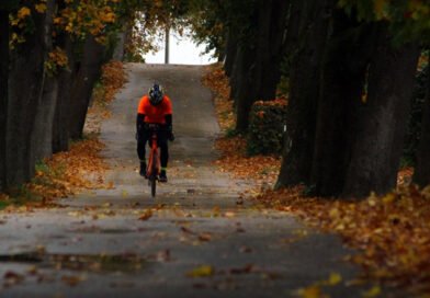Pedal Power – The Unstoppable Growth of Cycling