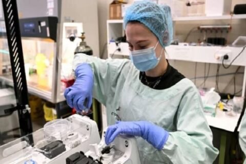 Australian researchers teach brain cells to play 'Doom'