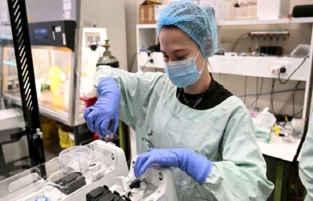 Australian researchers teach brain cells to play 'Doom'