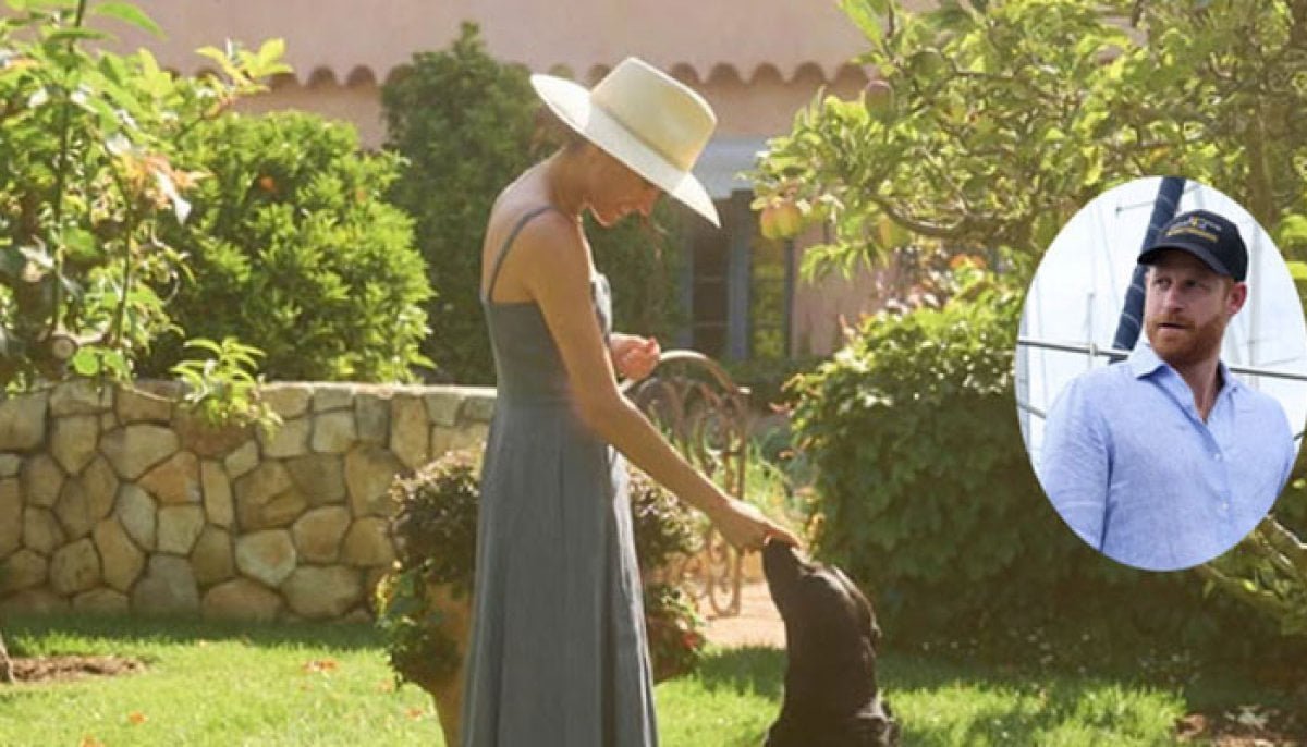 Meghan Markle's non negotiable surfaces