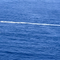 At least 40 rescued, 2 dead as boat capsizes after machete fight near Puerto Rico
