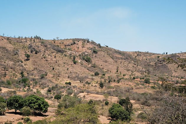 The Drylands Dividend: The Smart Investment for Powering a Water-Scarce World