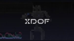 How Robot Startup XDOF Became a Unicorn Contender in Under a Year
