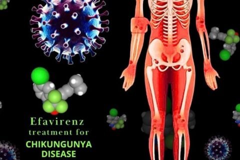 IIT Roorkee researchers discover potential drug to treat Chikungunya