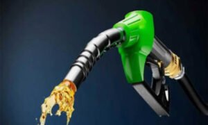 Minister Drops Petrol Price Bombshell: Rs1,000 Per Litre Possible