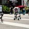 Robot dog could deliver your next package and an ad