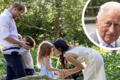 Prince Harry makes important plea to Meghan Markle before another meeting with King Charles