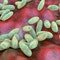 US monitoring suspected fatal pneumonic plague case in Russia, State Department official says