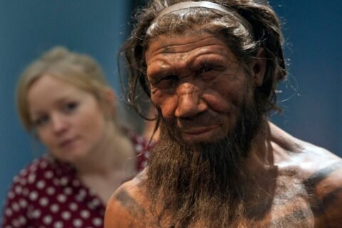 Neanderthals capable of both violence and care, bones from Iraqi cave suggest