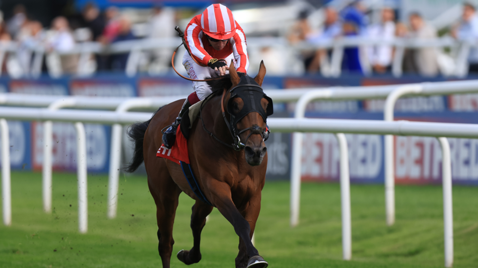Caballo De Mar upsets Scandinavia in Cadran clash