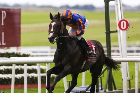 Scandinavia seeks sixth Group 1 in Prix du Cadran