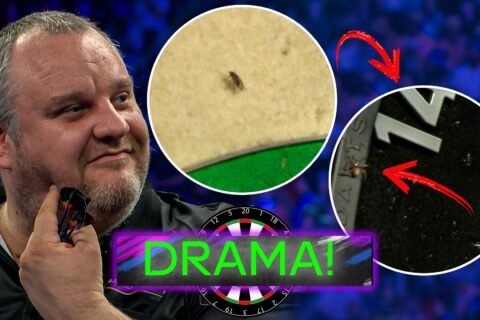 First a fly interrupts play, then a spider tries too!